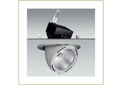  Downlight Richtbaar Grijs (incl.  vwb) 