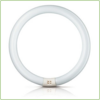 MASTER TL-E Circular 40W/840