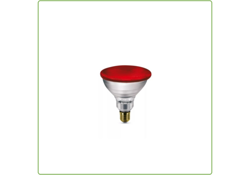  Philips  IR100R PAR38 E27 240V 