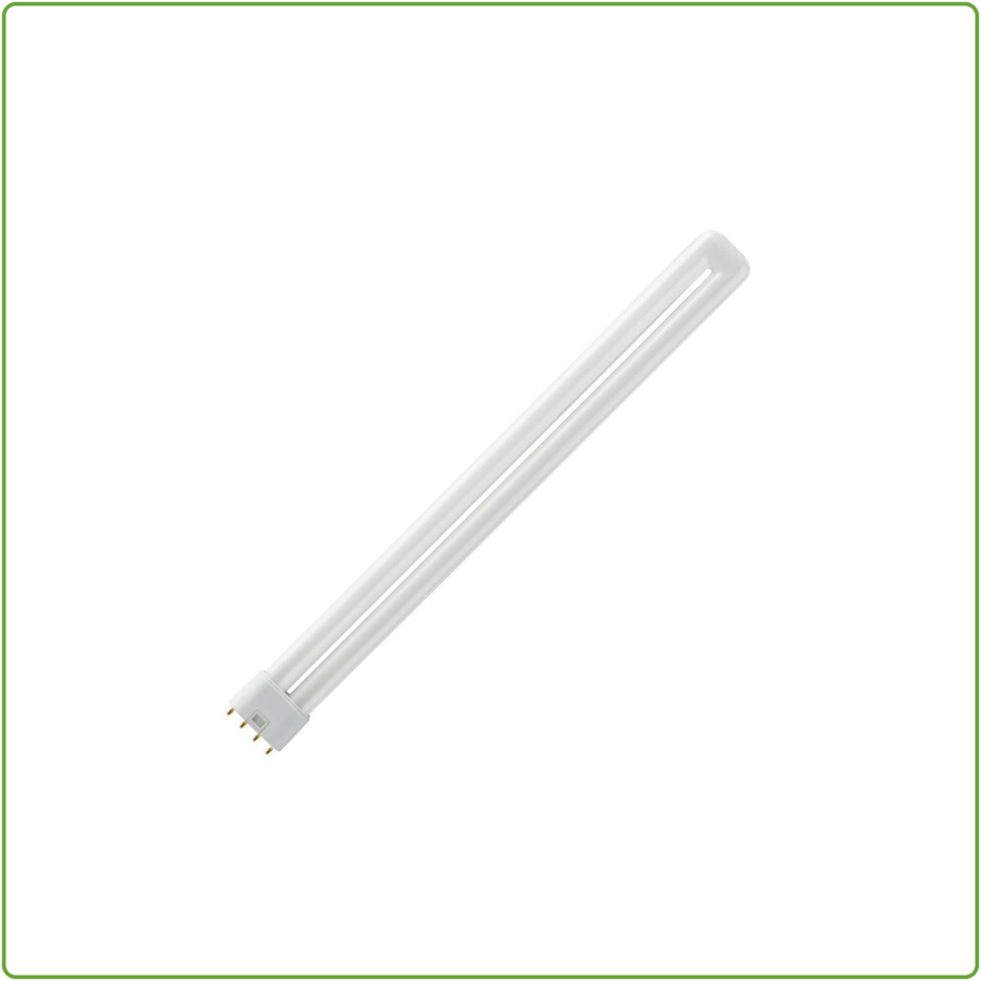 MASTER PL-L 36W/840/4P-1