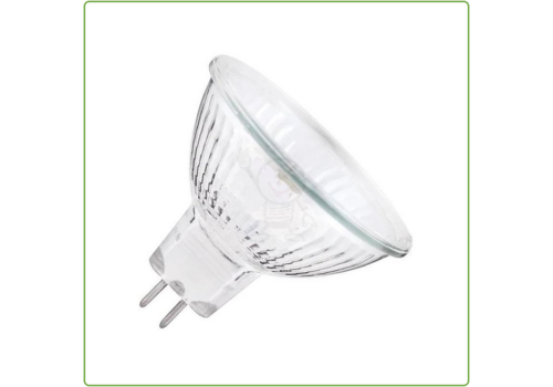  Patron Halogeen 20W GU5.3 MR16 12V 
