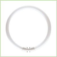 Circular Fluorescent Tube 2GX13 22W