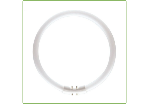  Patron Circular Fluorescent Tube 2GX13 22W 