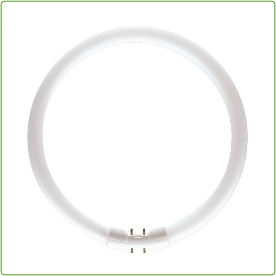 Circular Fluorescent Tube 2GX13 22W-1