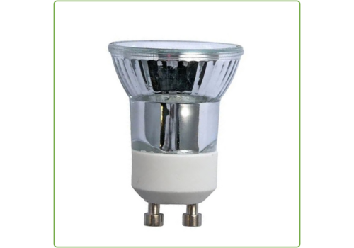  GHM Halogeen lamp GU10 35mm small MR11 35W 230V 