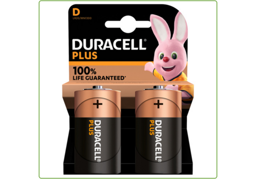  Duracell D Plus 100% Alkaline blister 2 