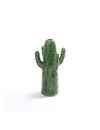 Cactus Vaas Middel