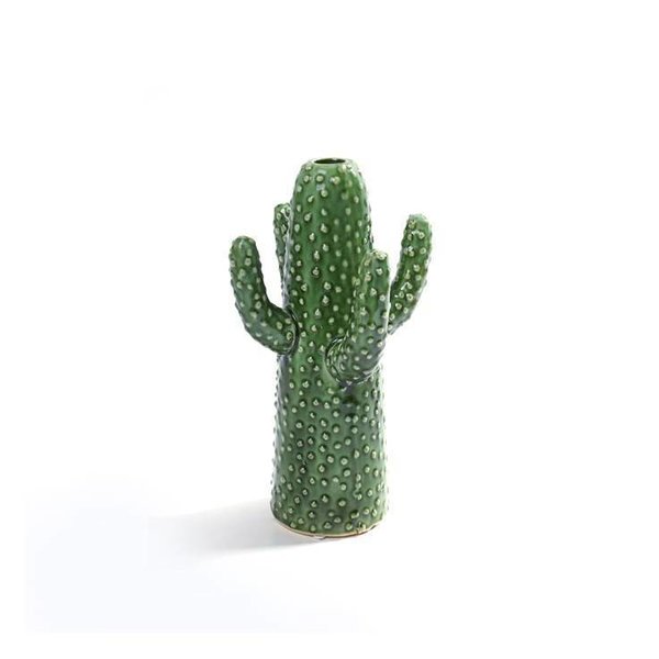 Cactus Vaas Middel
