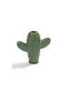 Cactus Vaas Klein