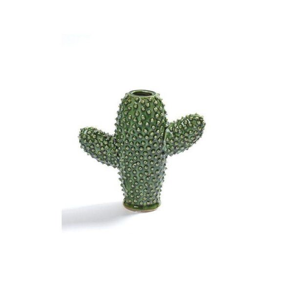 Cactus Vaas Klein