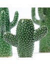 Cactus Vaas Klein