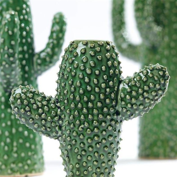 Cactus Vaas Klein