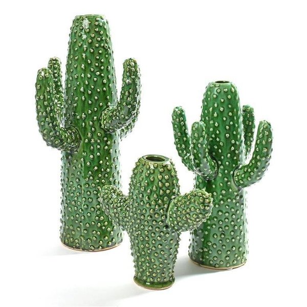 Cactus Vaas Klein