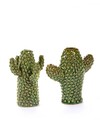Cactus Vaas Mini (2 Stuks)