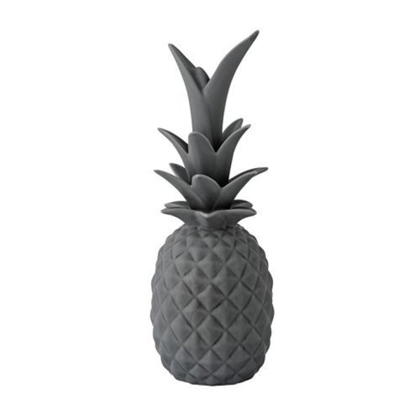 Ananas Grijs