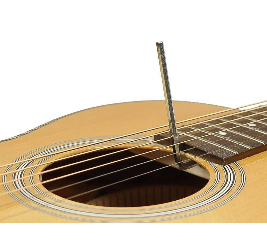 Richwood P-65-VA | Parlor Master Series handgemaakte gitaar