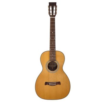 Richwood Richwood P-65-VA | Parlor Master Series handgemaakte gitaar