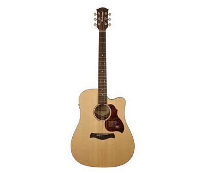 Richwood Richwood D-20-CE | Master Series