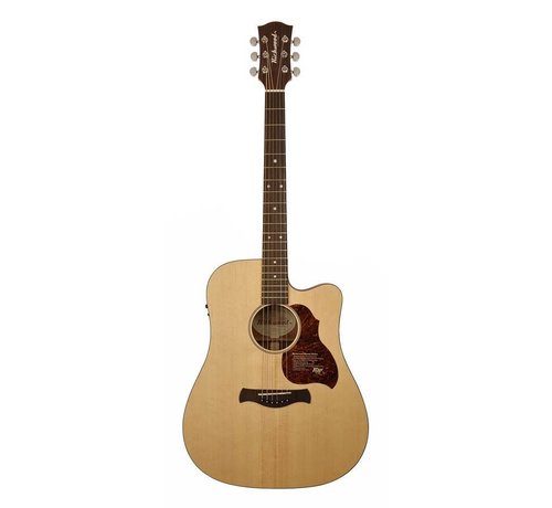 Richwood Richwood D-20-CE | Master Series