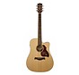 Richwood D-20-CE | Master Series