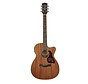 Richwood A-50-CE | Master Series