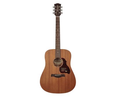 Richwood Richwood D-50 Master series Dreadnought gitaar