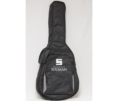 Richwood Richwood SWG-130-CE semi akoestische gitaar