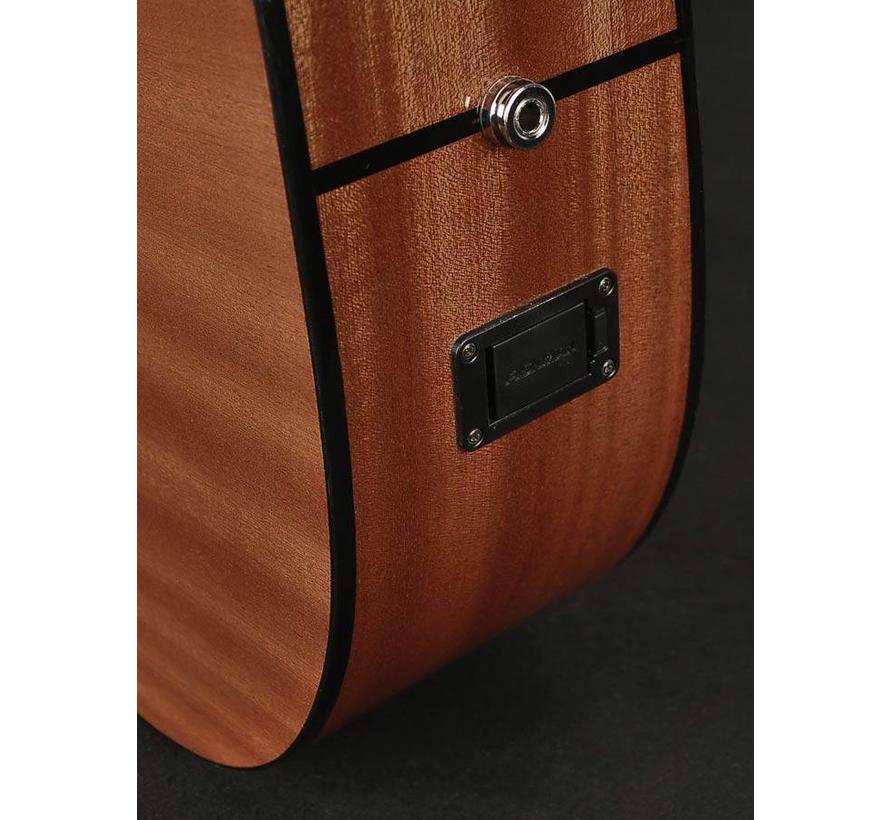 Richwood D-40-CE | Master Series