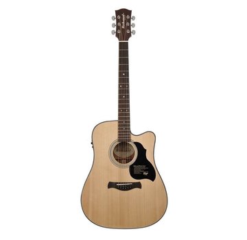 Richwood Richwood D-40-CE semi akoestische western gitaar