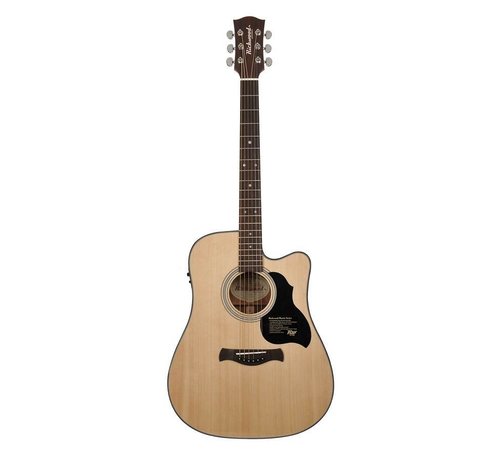 Richwood Richwood D-40-CE semi akoestische western gitaar