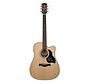 Richwood D-40-CE | Master Series