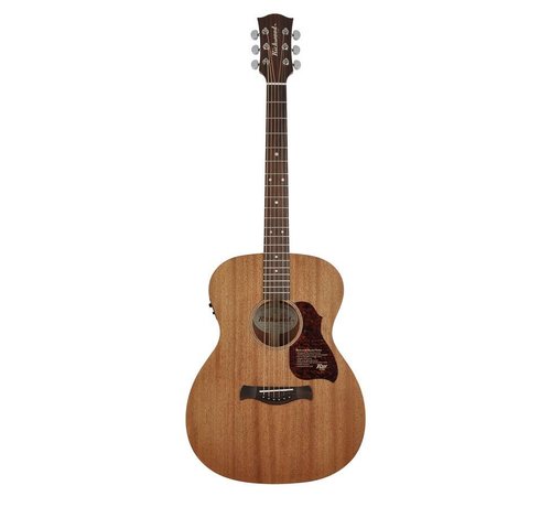 Richwood Richwood A-50-E semi akoestische western gitaar