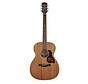 Richwood A-50-E semi akoestische western gitaar