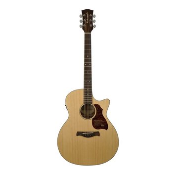 Richwood Richwood G-20-CE Semi Akoestische gitaar