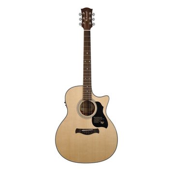 Richwood Richwood G-40-CE Semi Akoestische gitaar