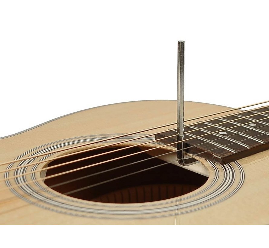 Richwood P-40 Parlor model akoestische gitaar | Master Series