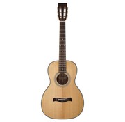 Richwood Richwood P-40 Parlor model akoestische gitaar | Master Series