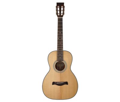 Richwood Richwood P-40 Parlor model akoestische gitaar | Master Series