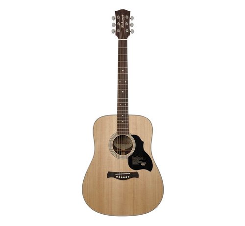 Richwood Richwood D-60 | Master Series
