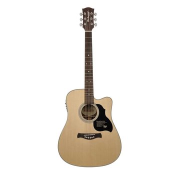 Richwood Richwood D-60-CE semi akoestische gitaar