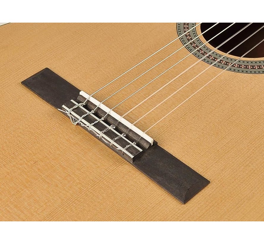 Salvador CS-234 klassieke gitaar | 3/4 model