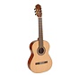 Salvador CS-234 klassieke gitaar | 3/4 model