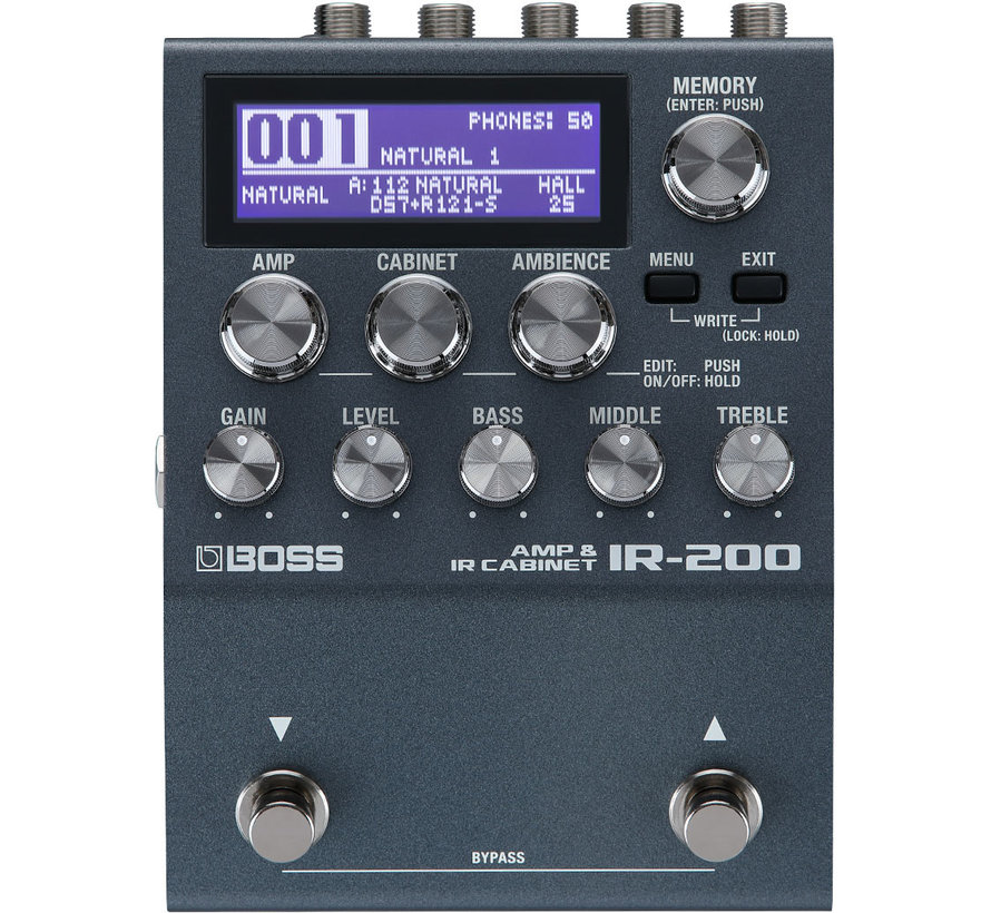 Boss IR-200 Amp & IR Cabinet