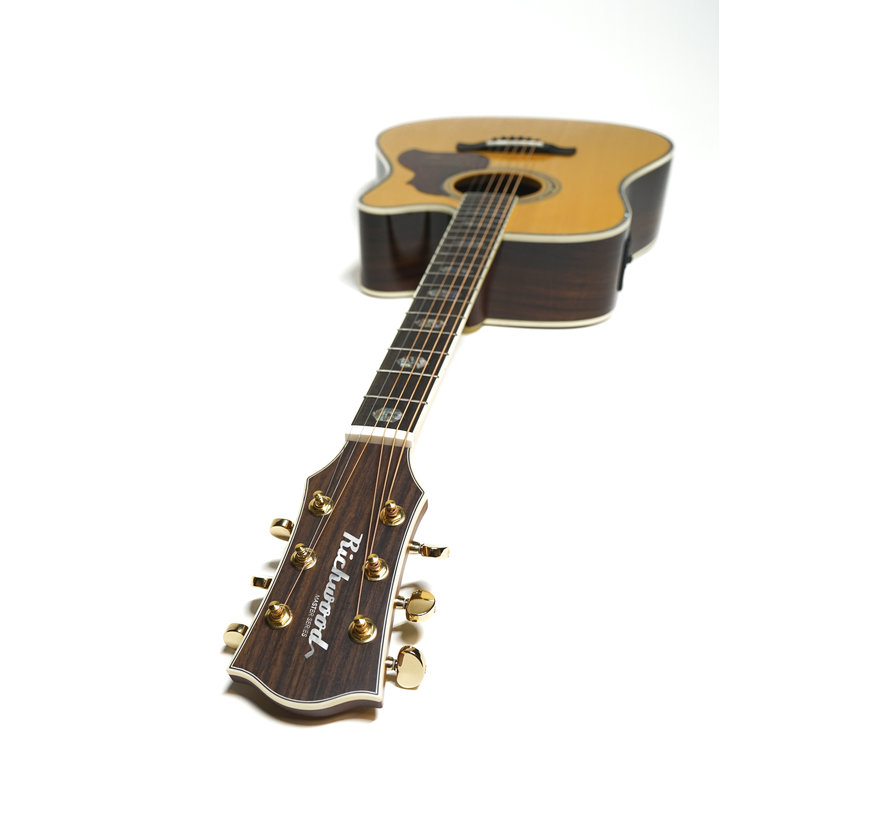 Richwood D-70-CEVA | Master Series Dreadnought gitaar