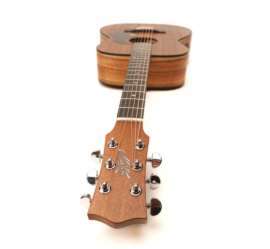 Maton EBW808 | Blackwood Series | AP5 PRO