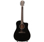 Taylor 250ce-BLK  PLUS 12-string | 12 snarige gitaar