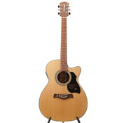 Richwood Richwood A-60-CE semi akoestische gitaar