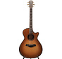 Taylor Builder's Edition 912ce WHB | Builders Edition Wild Honey Burst