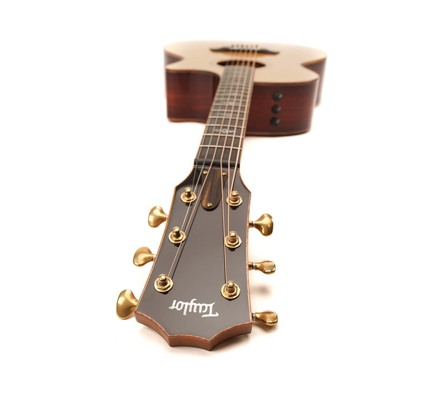 Taylor Custom GA Cocobolo LTD semi akoestische gitaar