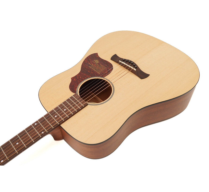 Richwood D-20 | Dreadnought Master Series handgemaakte gitaar